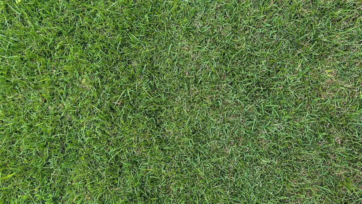 Sports Field & Athletic Turf in Brownsville, TX